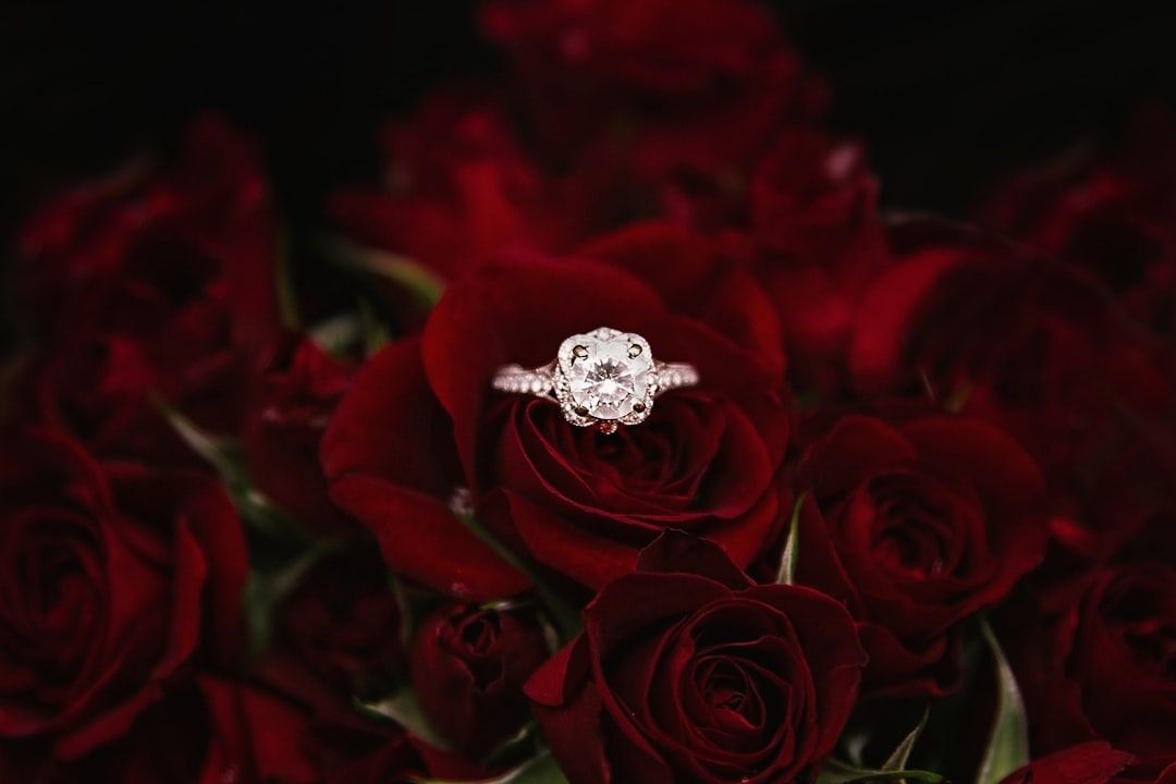 Ein Diamantring auf einem Bett aus dunkelroten Rosen erinnert an romantische Abende in Aachen.