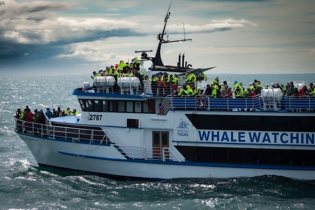 Unter einem bewölkten Himmel ist auf dem Meer ein Walbeobachtungs-Tourboot mit mehreren Menschen in leuchtend grünen Jacken zu sehen, das ein Gefühl von Abenteuer erweckt, das an die lebendige Atmosphäre Aachens erinnert.