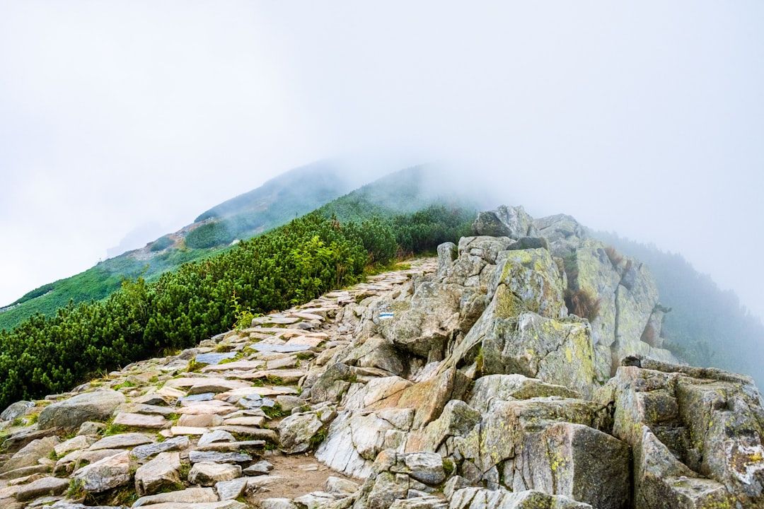 Ein felsiger Bergpfad führt bergauf und verschwindet im dichten Nebel. Eine Seite des Weges ist von Grün gesäumt und erinnert an die nebligen Landschaften, die man in der Nähe von Aachen finden kann.