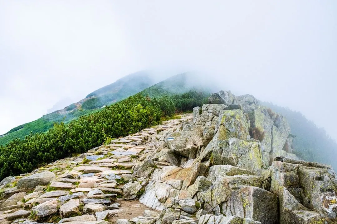 Die besten Wanderwege in Ihrer Region