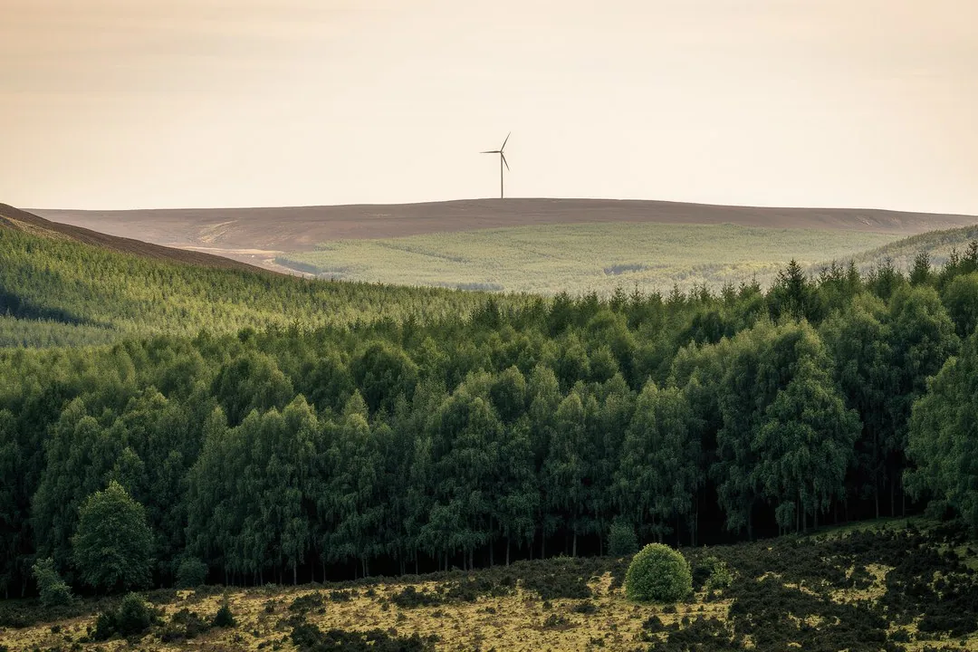 CO2-Kompensation: Ausgleich für Umweltauswirkungen