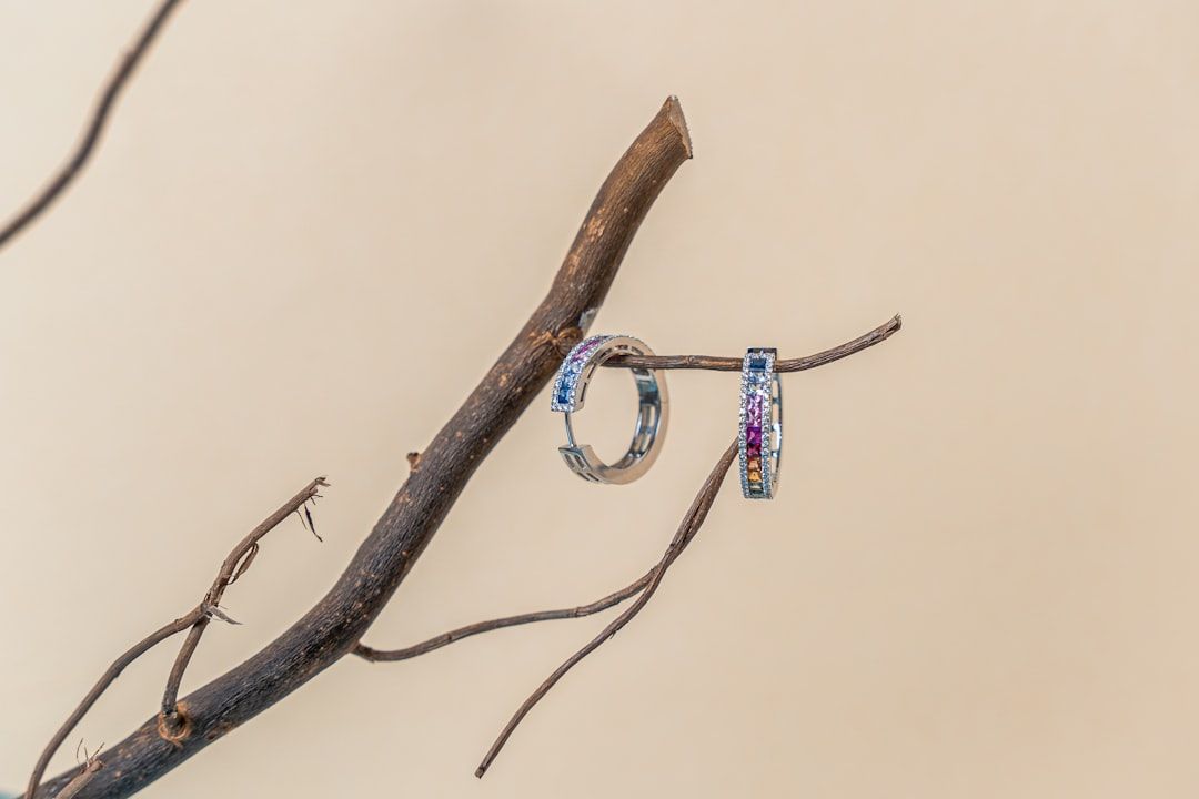 Zwei silberne Ringe mit bunten Edelsteinen hängen an einem braunen, blattlosen Zweig vor beigem Hintergrund und erinnern an die Eleganz des zeitlosen Charmes Aachens.