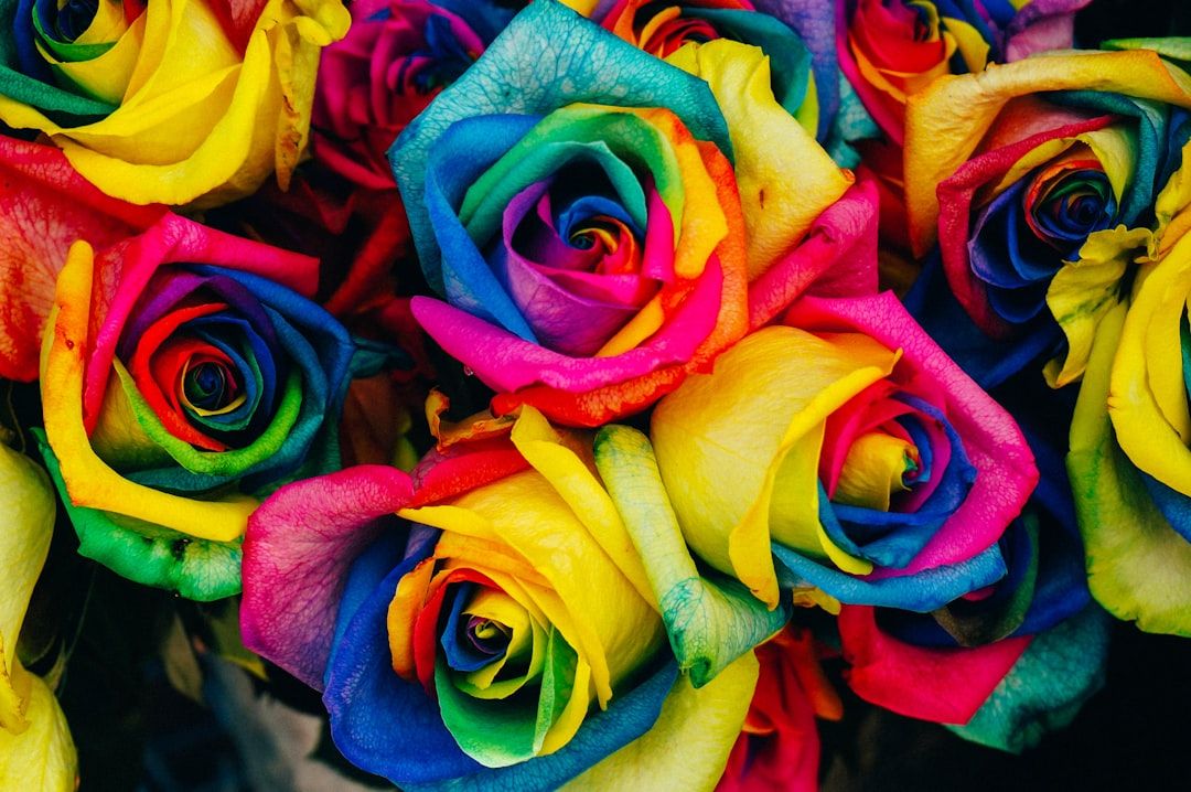 Nahaufnahme leuchtend bunter Rosen mit Blütenblättern in Blau-, Grün-, Rot-, Gelb- und Rosatönen, die an den farbenfrohen Charme der Aachener Gärten erinnern.