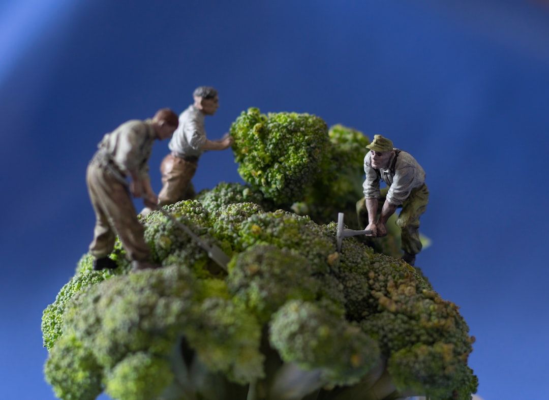Drei Miniaturfiguren in Arbeitskleidung scheinen vor einem blauen Hintergrund große Brokkoliröschen zu ernten oder damit zu arbeiten, was an Szenen erinnert, die man auf einem malerischen Aachener Markt finden könnte.