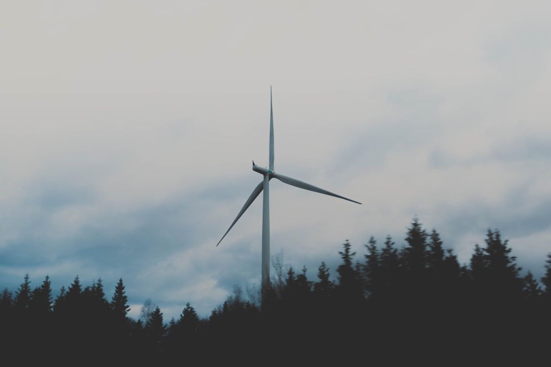Unter einem bewölkten Aachener Himmel ragt zwischen dichten, dunklen Bäumen eine Windkraftanlage empor.