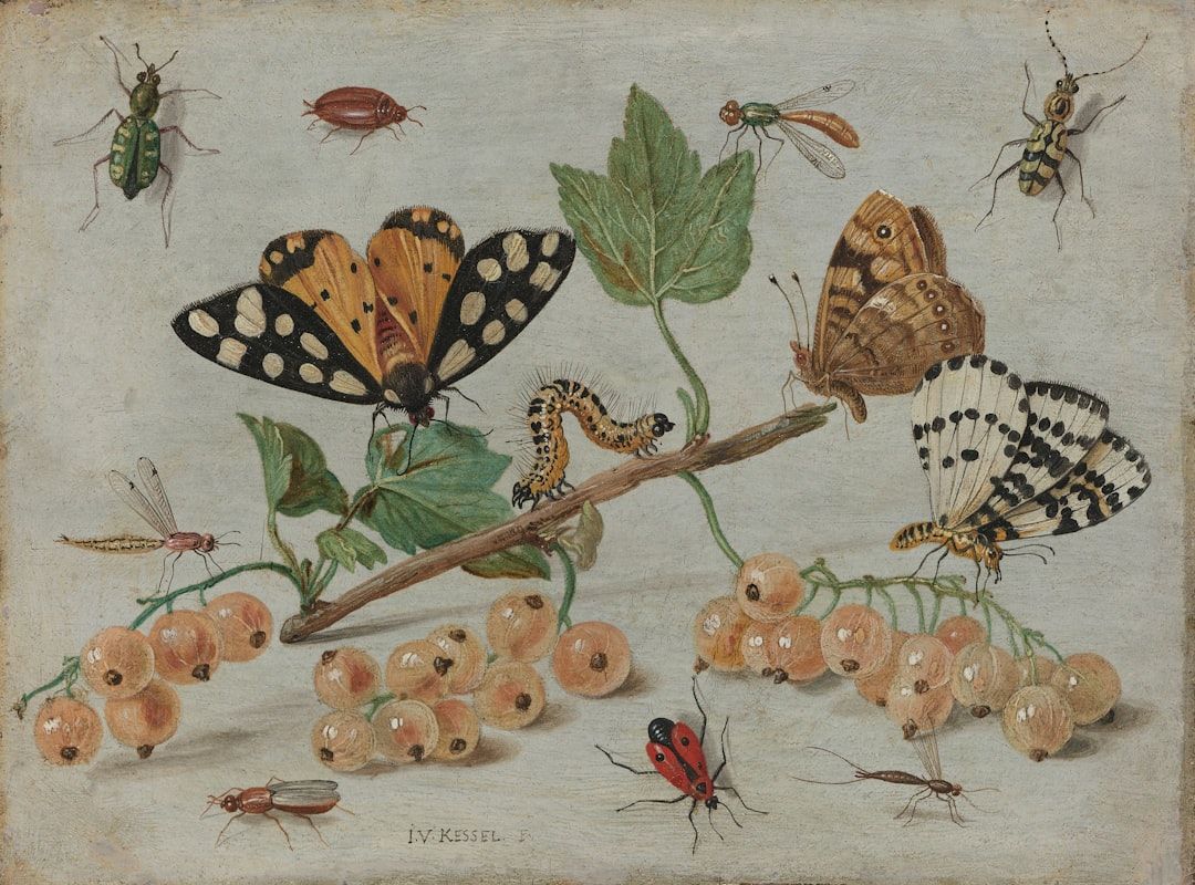 Eine Illustration verschiedener Insekten, darunter Schmetterlinge, Käfer und eine Raupe auf einem Ast mit Blättern und roten Beeren im künstlerischen Stil, der an Aachens naturalistische Zeichnungen erinnert.