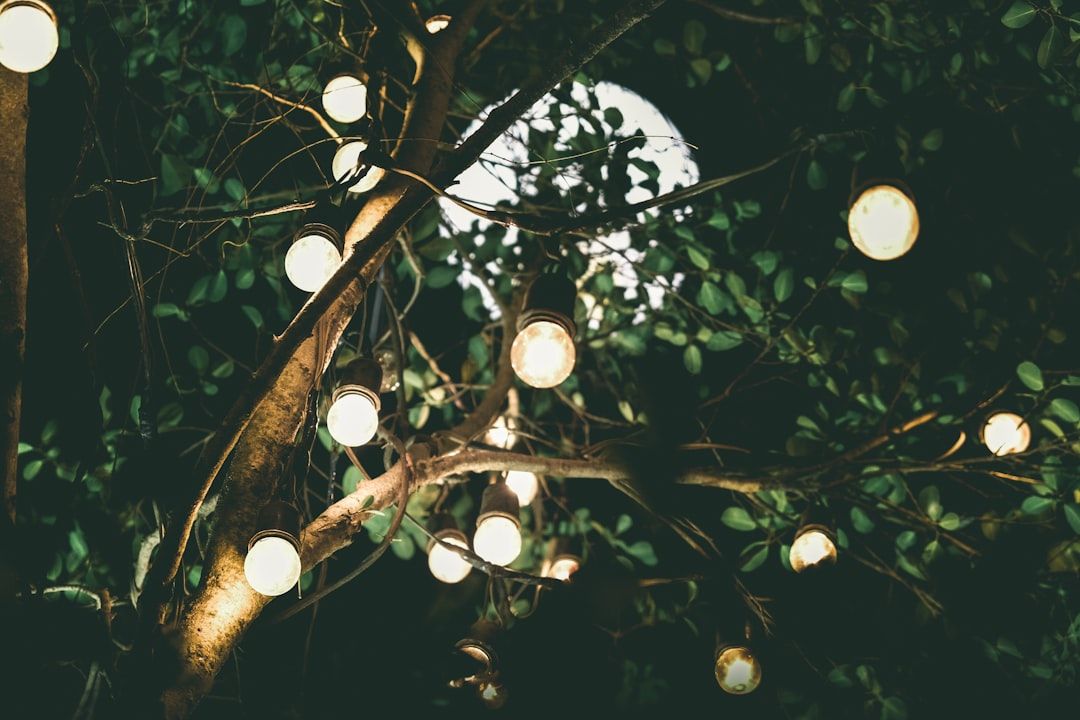 Lichterketten sind um die Zweige eines Baumes gewickelt, im Hintergrund ist ein heller Mond zu sehen, der an die zauberhafte Atmosphäre von Aachen erinnert.