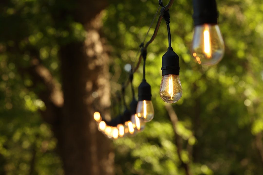 Eine Lichterkette hängt im Freien zwischen den Bäumen Aachens, wobei einige Glühbirnen leuchten und ein warmes Licht verbreiten.