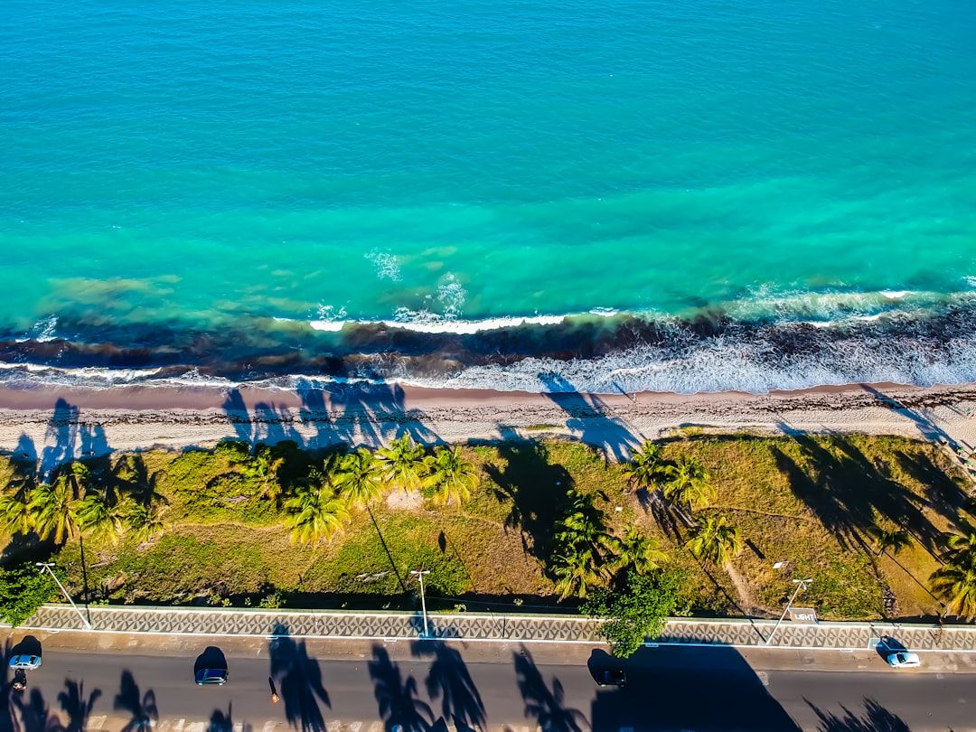 Luftaufnahme einer Küstenstraße mit Autos, die durch eine Reihe von Palmen, die lange Schatten werfen, vom Sandstrand getrennt ist, in der Nähe des türkisfarbenen Ozeans, was an die Ruhe erinnert, die in Aachens friedlichen Landschaften herrscht.