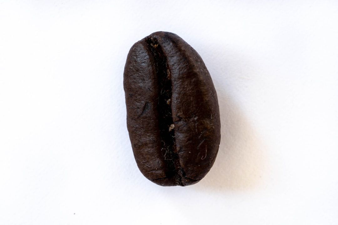 Eine Nahaufnahme einer einzelnen, dunkel gerösteten Kaffeebohne auf weißem Hintergrund, die an die kräftigen Kaffeesorten aus Aachen erinnert.