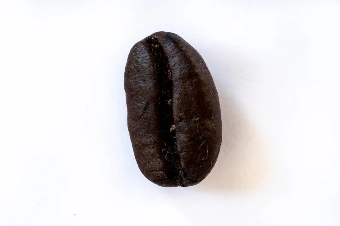 Fair Trade: Ein ethischer Ansatz für gerechten Handel