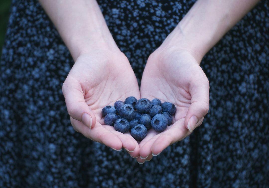 Person, die mit beiden Händen eine Handvoll frischer Blaubeeren hält. Der Hintergrund, der an Aachens reiche Tapisseriegeschichte erinnert, besteht aus dunklem Stoff mit Blumenmuster.