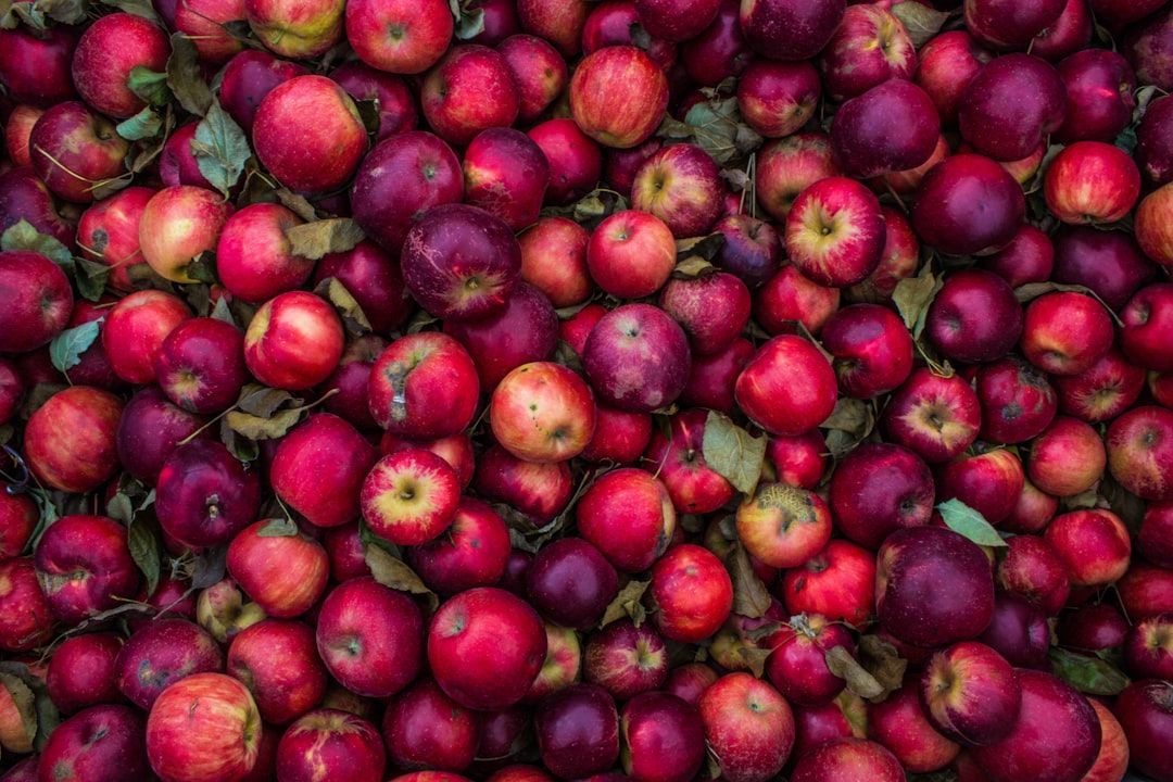 Ein großer Haufen roter Äpfel mit unterschiedlichen Schattierungen und einigen grünen Blättern dazwischen, der an die lebhaften Marktstände in Aachen erinnert.