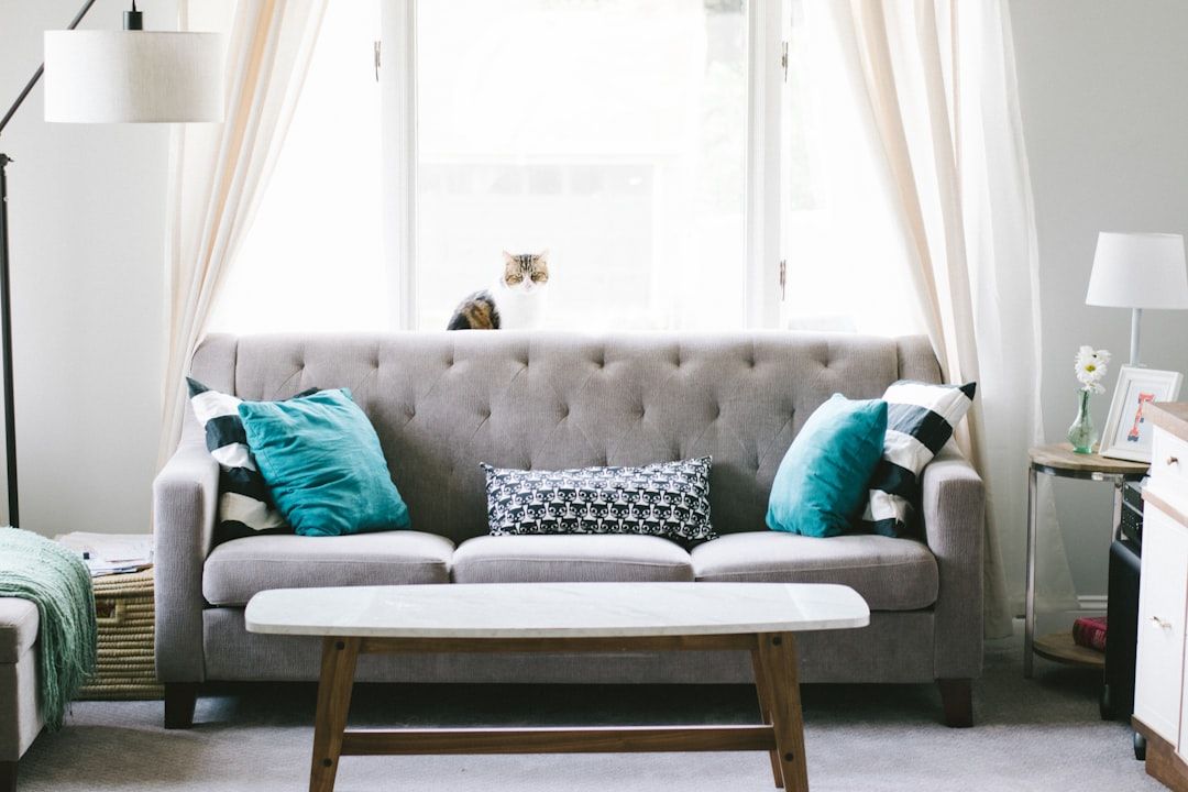 Ein graues Sofa mit grünen und schwarzen Kissen steht vor einem Fenster mit transparenten Vorhängen und erinnert an die charmanten Innenräume Aachens. Auf dem Fensterbrett dahinter sitzt eine Katze. Vor dem Sofa steht ein Couchtisch.