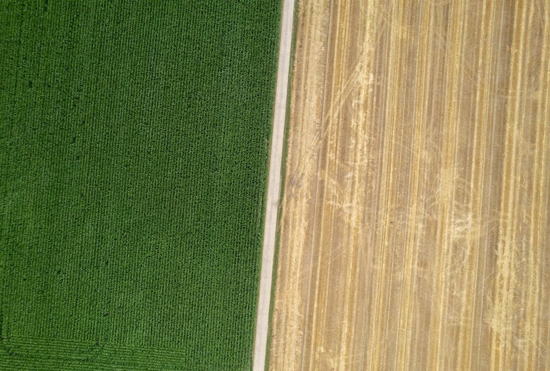 Photo Sustainable farming