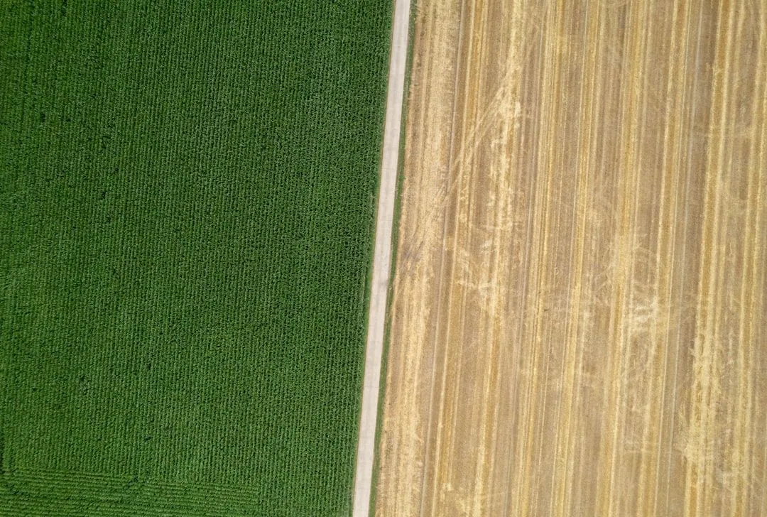 Nachhaltige Ernährung: Ein Leitfaden