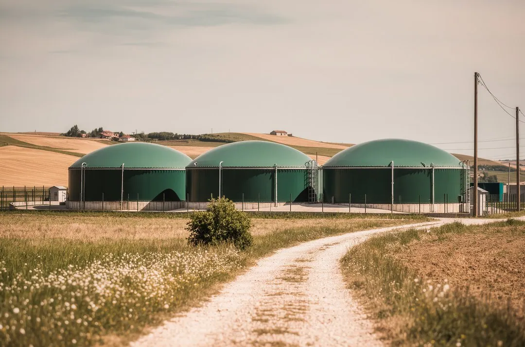 Die Nutzung von Bioenergie: Eine nachhaltige Energiequelle