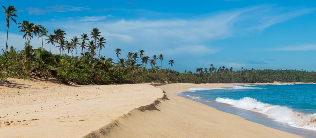Ein Sandstrand mit sanften Wellen und hohen Palmen unter einem klaren blauen Himmel erinnert an die Ruhe der natürlichen Schönheit Aachens.