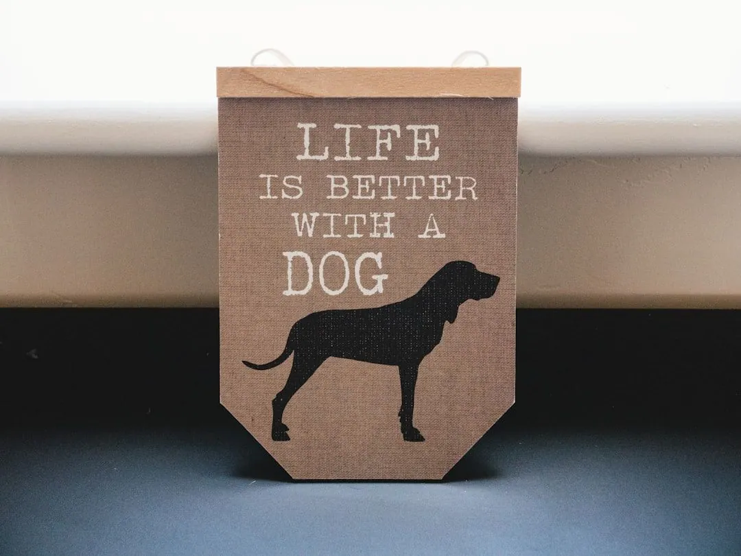 Sichere Hundetransportboxen für den stressfreien Transport