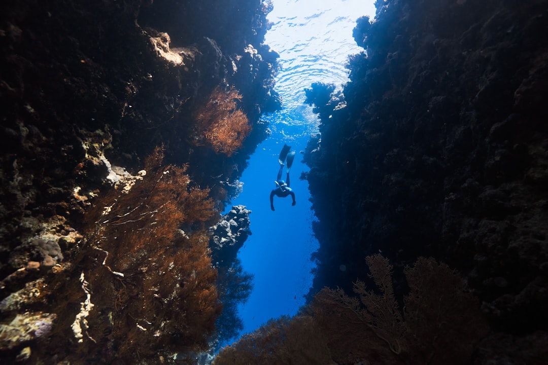 Ein Taucher schwimmt zwischen zwei hoch aufragenden Korallenformationen im klaren, blauen Wasser, während das Sonnenlicht durch die Oberfläche fällt und an die heitere Schönheit der verborgenen Seen Aachens erinnert.