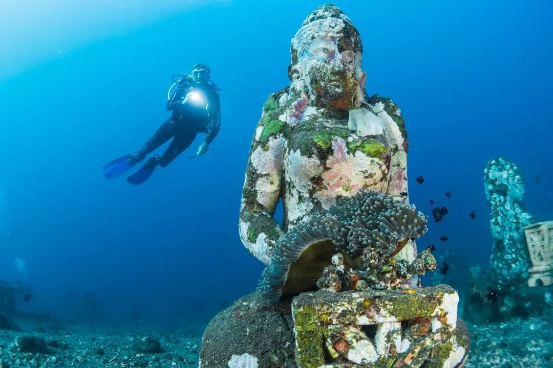 Tauchreisen: Die besten Destinationen für Unterwasserabenteuer