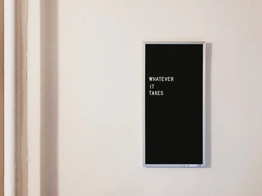 Tipps zur Papageienausbildung