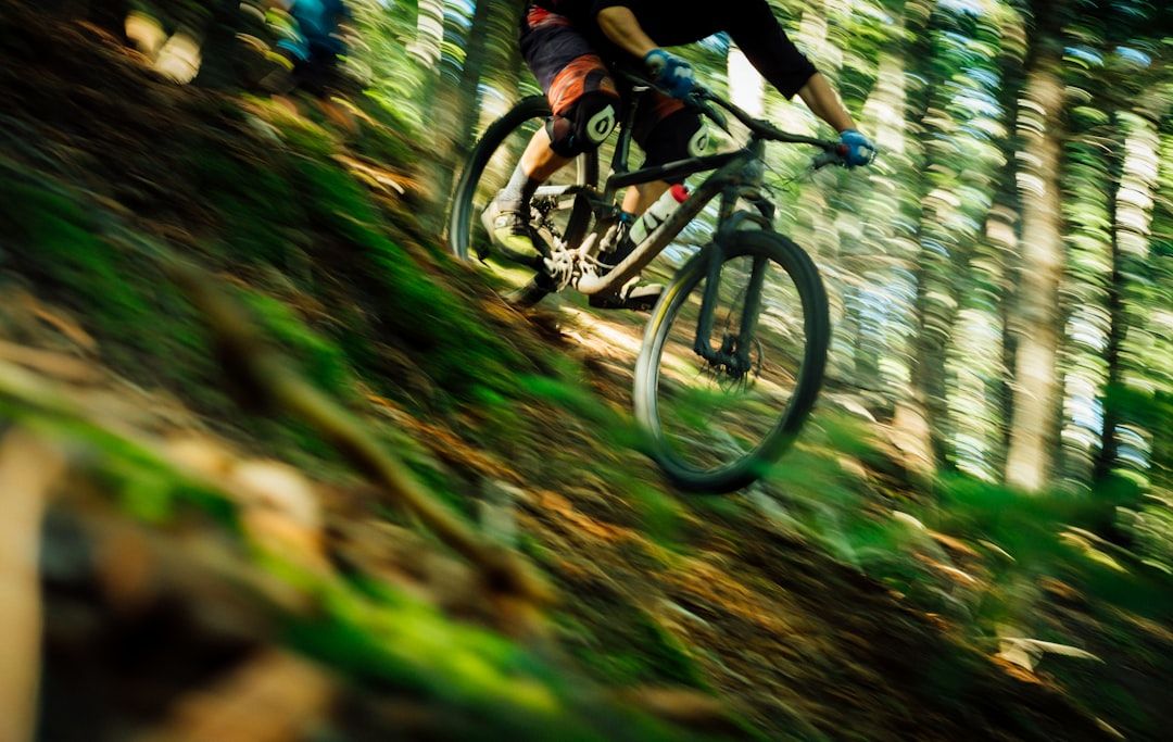 Eine Person fährt mit einem Mountainbike einen Waldweg in der Nähe von Aachen hinunter, umgeben von Bäumen und verschwommenem Laub.