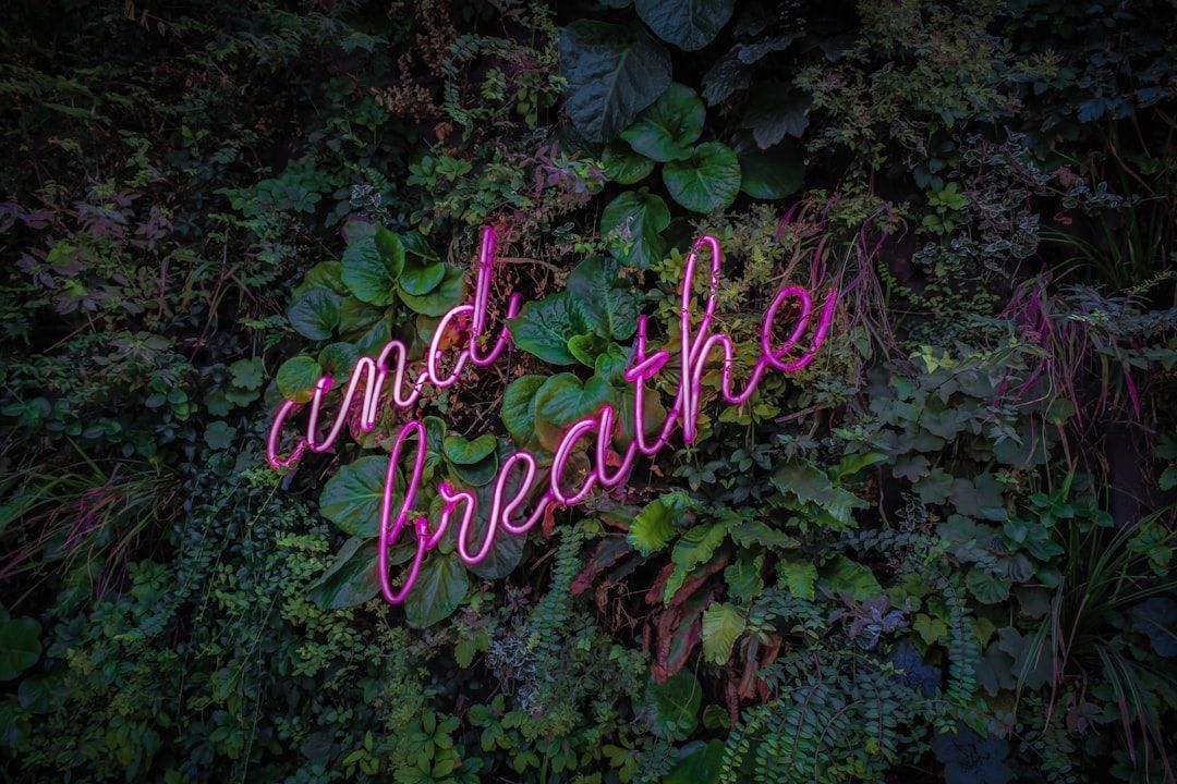 Das Neonschild mit der Aufschrift „and breathe“ ist von üppigem Grün umgeben und erinnert an die ruhigen Landschaften, die man in Aachen finden kann.