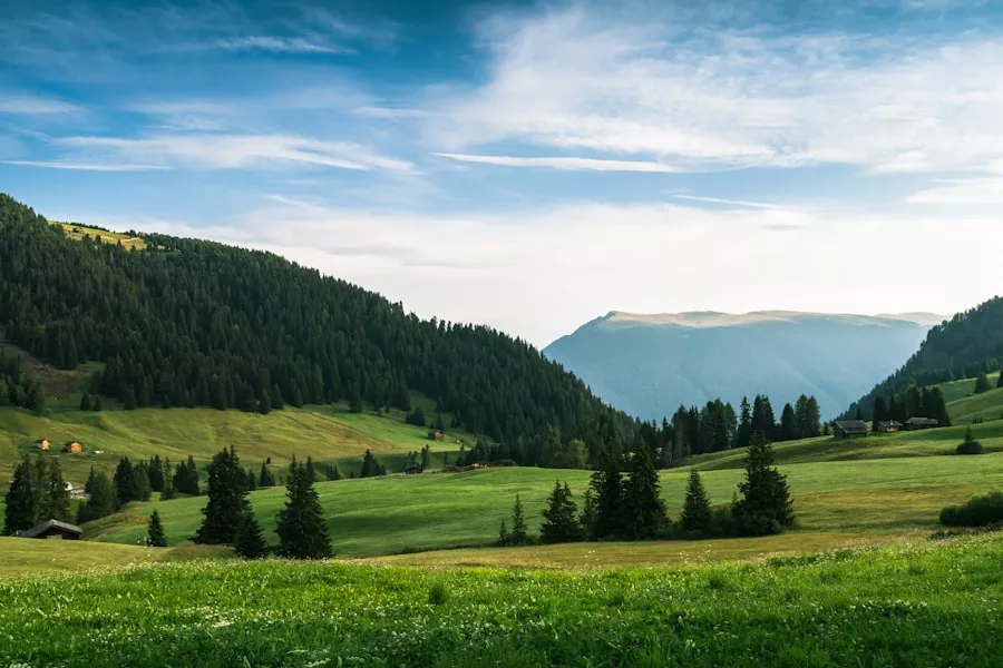 Ein üppig grünes Tal mit sanften Hügeln und vereinzelten Kiefern unter einem klaren blauen Himmel.