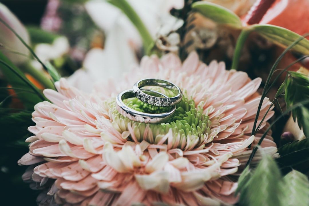 Zwei silberne Ringe, einer davon mit Steinen verziert, ruhen auf einer großen rosa und grünen Chrysantheme, umgeben von verschiedenem Blattwerk in Aachen.