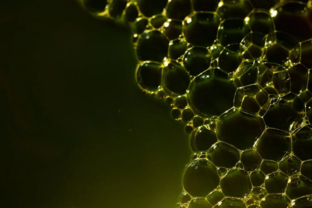 Die Wissenschaft des Kochens verstehen: Ein tiefer Einblick